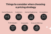 Navigating Pricing Strategies for Different Software Markets Navigating Pricing Strategies for Different Software Markets